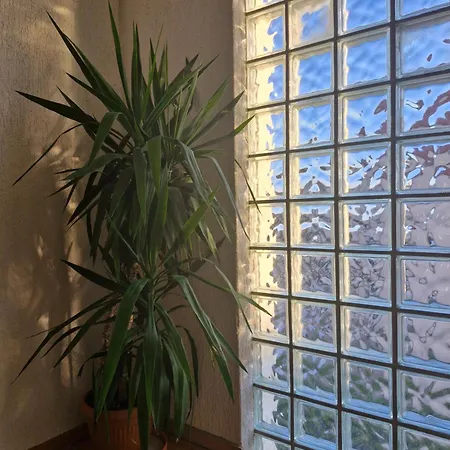 Dzapo Πανσιόν