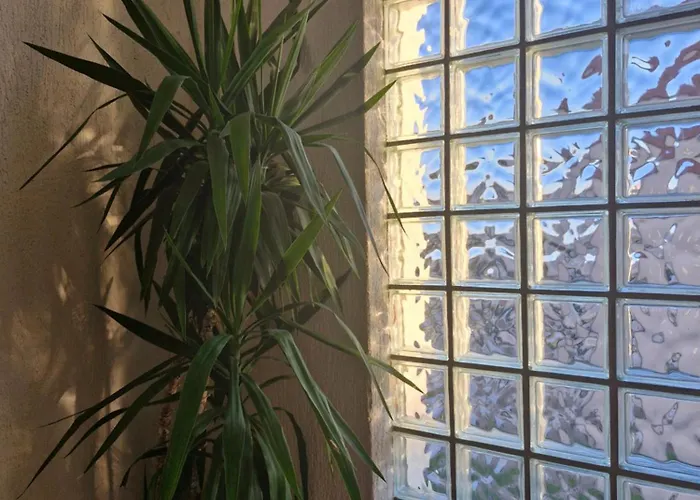 Dzapo Gostinjska kuća